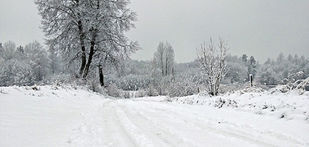 Teeolud Gulbene lähedal 27. jaanuaril. Foto: Laura Romanova